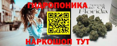 МДПВ Ивантеевка