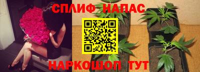МДПВ Ивантеевка