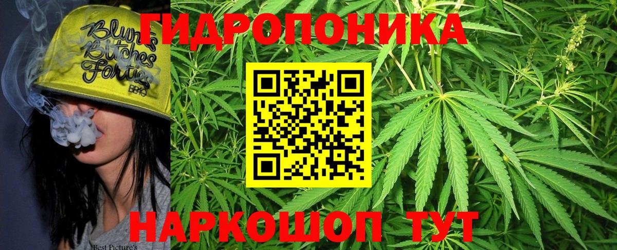 Архангельск  Конопля семена  Вход с VPN  Марихуана Bruce Banner  Бошки марихуана конопля 